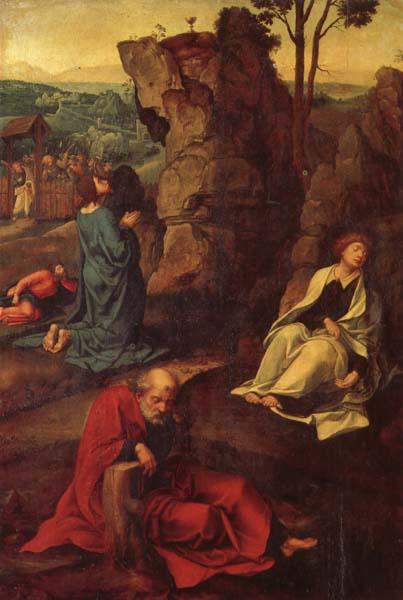 COECKE VAN AELST, Pieter The Agony in the Garden oil painting image